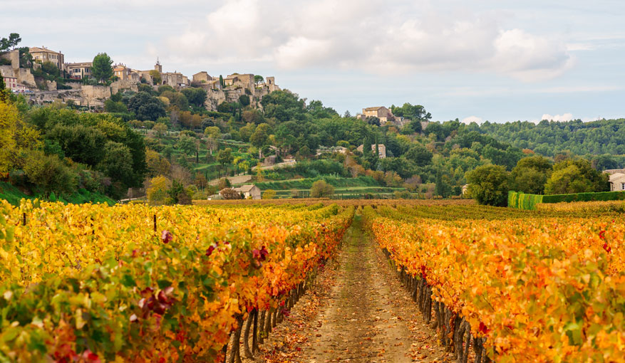 Day trip from Avignon: Menerbes village south of France