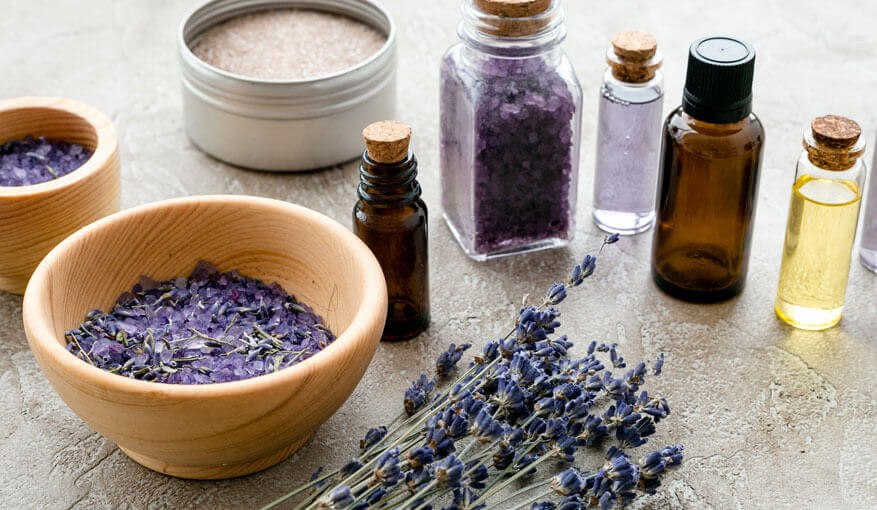 Lavander museum south of France