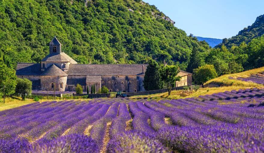 Senanque abbey